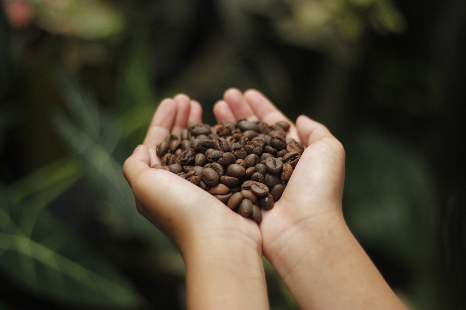 coffee-4591164_1920
